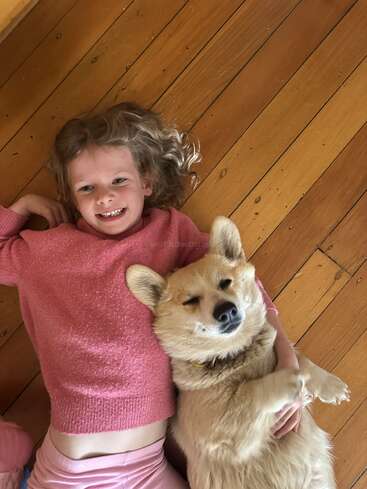 Une jeune fille vêtue d'un pull rose est allongée sur un plancher en bois et câline avec bonheur un chien duveteux et détendu. Tous deux ont l'air satisfaits et partagent une douce complicité.