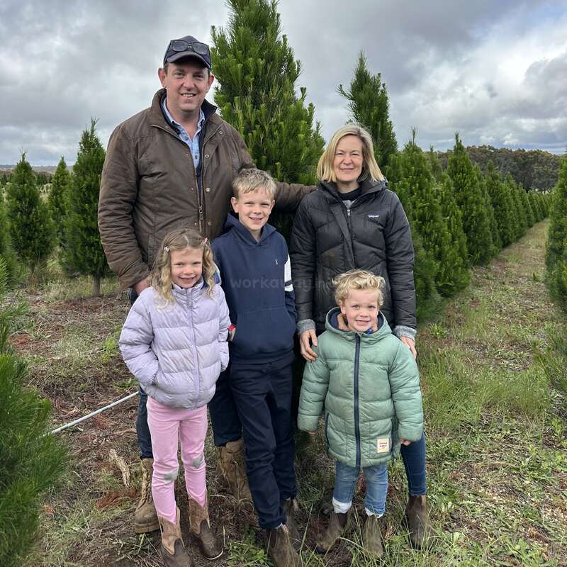 Une famille de cinq personnes pose ensemble en plein air parmi des rangées de pins. Ils sont chaudement vêtus de vestes et de bottes et sourient joyeusement par une journée nuageuse.