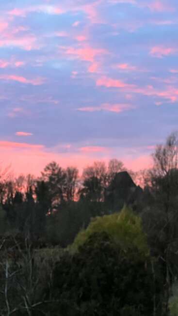Un paisaje sereno al atardecer con suaves nubes rosas y azules, árboles en silueta, vegetación difuminada y un apacible resplandor en el horizonte. Ambiente tranquilo y relajante.