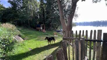 Una serena escena junto a un lago muestra a un perro de pie sobre la hierba verde detrás de una rústica valla de madera, rodeado de árboles, un banco y una pequeña caseta de jardín.