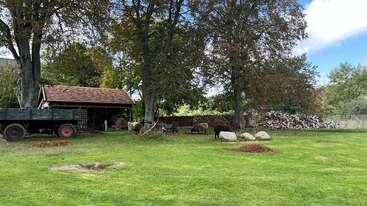 A rustic farm scene with a wooden shed, green wagon, sheep grazing on grass, trees providing shade, stacked firewood, and a peaceful, rural atmosphere.