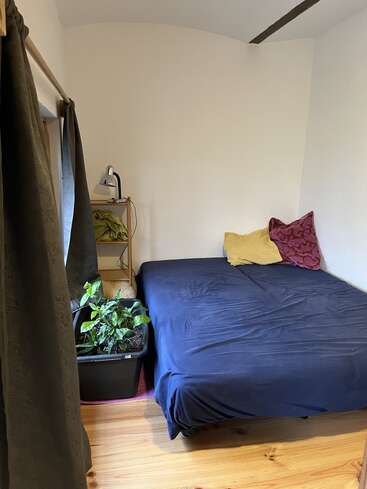 This cozy bedroom features a double bed with dark bedding, a small plant in a black pot, a wooden shelf, lamp, pillows, curtains, and wooden floor.