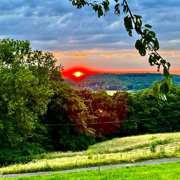 A imagem mostra um pôr do sol incrível sobre uma paisagem verdejante, com tons laranja vibrantes no céu, árvores densas e um primeiro plano tranquilo e gramado.