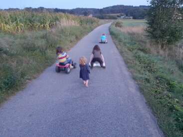 Four children play on a quiet rural road, two riding toy cars, one on a board, and one barefoot walking, surrounded by fields and greenery.