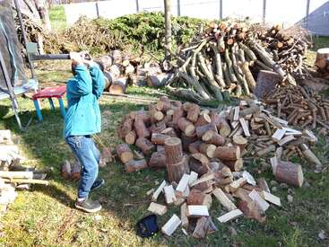Ein Kind in einer blauen Jacke hackt mit einer Axt im Garten Brennholz, umgeben von großen Stapeln aus Baumstämmen und Holzstücken.