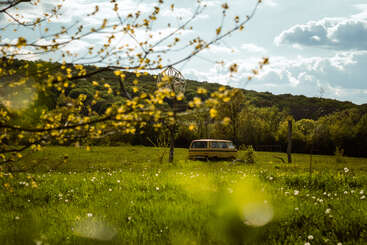 Ein gelber Lieferwagen steht auf einer üppig grünen Wiese, umgeben von Wildblumen. Hügel, Bäume und ein strahlender Himmel mit Wolken runden das friedliche Bild ab.