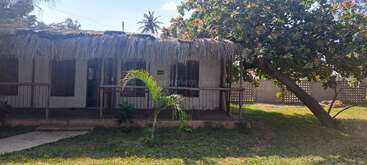 Une petite maison rustique au toit de chaume, entourée de verdure. Il y a un porche, des palmiers et la lumière du soleil qui filtre à travers un grand arbre à proximité. Un cadre paisible.