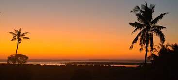 Un magnifique coucher de soleil illumine le ciel de chaudes teintes orangées. Des silhouettes de palmiers et un horizon lointain créent un paysage tropical paisible surplombant des eaux calmes.