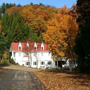 Une charmante maison blanche au toit rouge est nichée au milieu d'arbres d'automne éclatants, entourée de feuilles mortes, sur une route calme et sinueuse de la campagne.