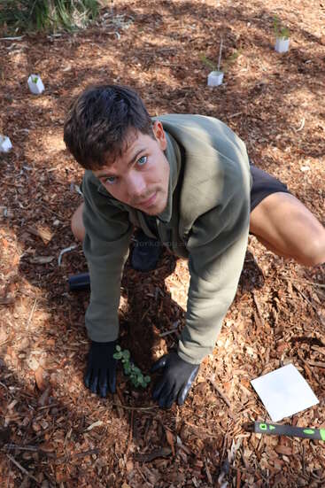 Ein junger Mann kniet draußen auf Mulch, trägt Handschuhe und pflanzt einen kleinen Setzling. Er schaut in die Kamera. In der Nähe liegen Gartengeräte und Papier.