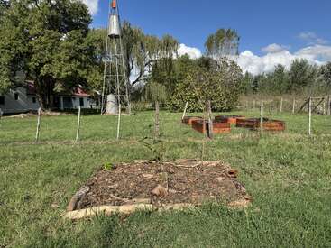 In einem grasbewachsenen Garten steht ein kleines Beet mit jungen Pflanzen. Daneben befinden sich Hochbeete, eine Windmühle, Bäume, ein Zaun und ein Haus.