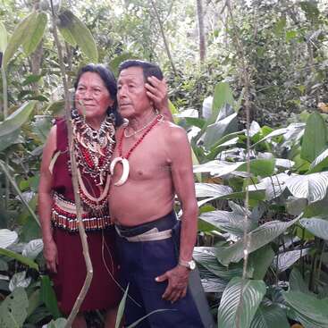 A imagem mostra um casal de idosos juntos em uma floresta exuberante, cercada por uma densa folhagem, com a mulher à esquerda e o homem à direita, ambos adornados com joias tradicionais.