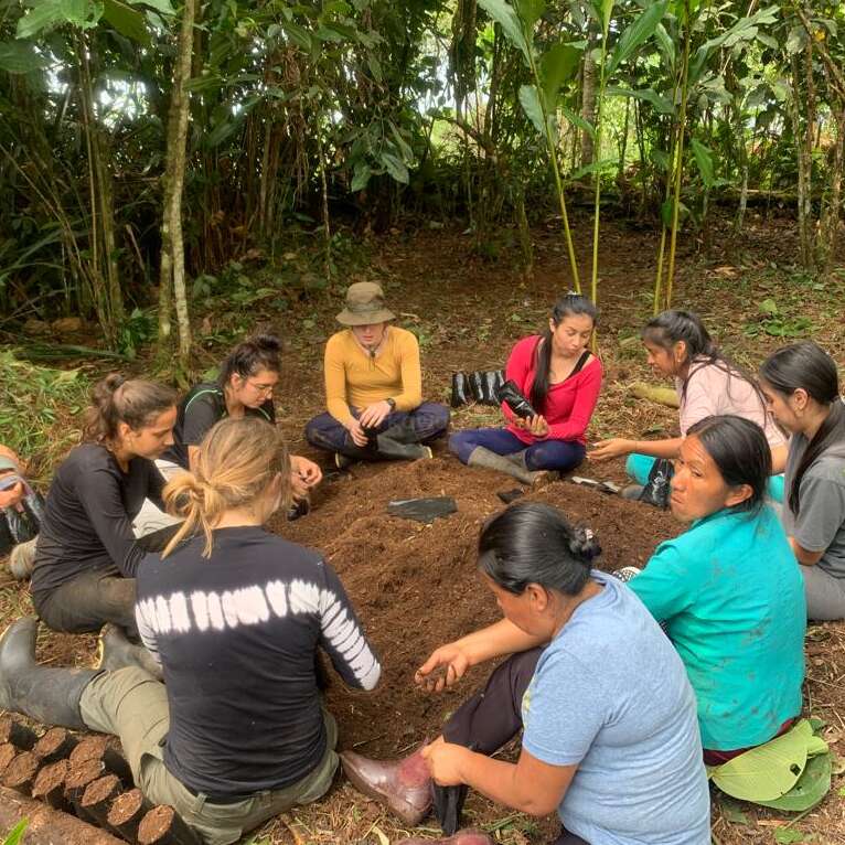 A imagem mostra um grupo de mulheres reunidas em um círculo no chão, cercadas por uma vegetação exuberante, envolvidas em uma discussão ou atividade.