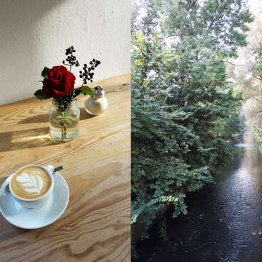 The left side shows a wooden table with a latte, a vase with a red rose, and sunlight. The right side displays a peaceful, tree-lined river.