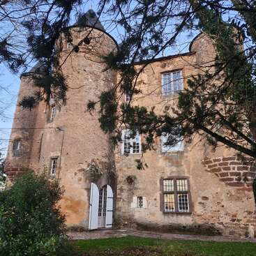 Cette image montre un vieux château en pierre avec des tours rondes et des volets blancs, partiellement masqué par des branches d'arbres, sur fond de ciel bleu clair.