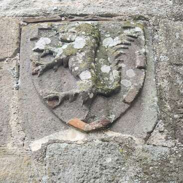 This image shows an old, weathered stone shield with a carved lion in relief, covered in moss and lichen, embedded in a stone wall.