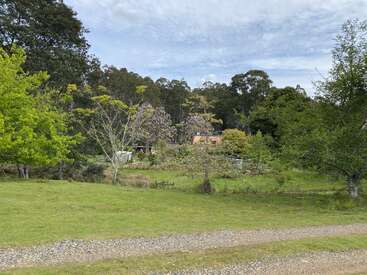 A peaceful rural scene features a grassy field, scattered trees, a gravel path, and a house partially hidden, with dense forest and cloudy sky in the background.