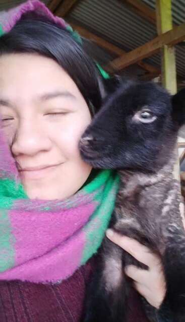 Uma pessoa sorridente, envolta em um cachecol colorido, aconchega-se a um filhote de cabra preto, que carinhosamente acaricia sua bochecha dentro de uma estrutura semelhante a um celeiro.