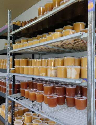 A imagem mostra várias prateleiras forradas com recipientes plásticos cheios de mel. Os contêineres variam em cor, de dourado claro a âmbar escuro, organizados e empilhados de forma organizada.