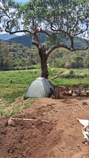 A small green tent sits under a large tree amidst a scenic landscape. Gardening tools, a bench, and a resting dog highlight this peaceful, rural campsite.