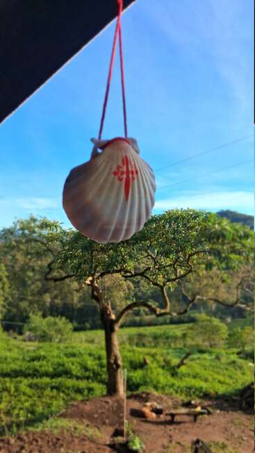 A scallop shell with a red symbol hangs on a string. Behind it, there’s a lush green landscape, trees, and a bright blue sky, evoking tranquility.