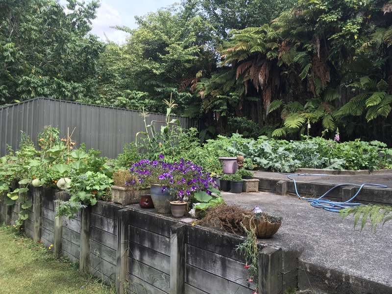 Help us with some gardening and spring cleaning in Springfield, Rotorua