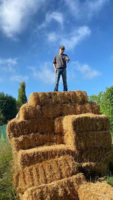 Eine Person steht auf einem großen Stapel Heuballen unter strahlend blauem Himmel, trägt Jeans, ein T-Shirt und eine Mütze, draußen in der Natur.