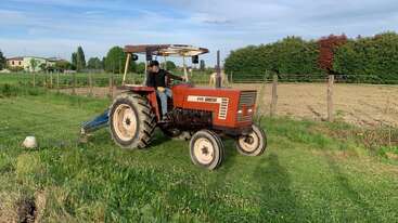 Ein Typ fährt mit einem roten Fiat 446 Traktor über eine Wiese, neben einem eingezäunten Bereich mit Bäumen, Häusern und einem strahlend blauen Himmel im Hintergrund.