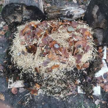 L'image montre un tas de compost naturel en plein air, composé de paille, de feuilles séchées et de matières organiques, entouré de gros rondins de bois, sur un sol terreux. Cadre automnal.