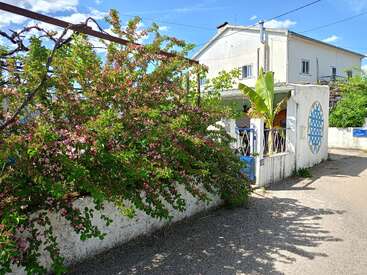 Un arbusto en flor con flores rosas crece junto a una pared blanca en un día soleado, cerca de una casa decorada con motivos geométricos azules y una planta de plátano verde.