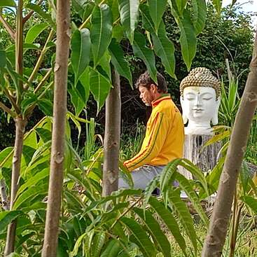 Un hombre con una chaqueta amarilla medita al aire libre, sentado con las piernas cruzadas junto a una estatua blanca de Buda, rodeado de árboles verdes y una exuberante vegetación natural. Una escena tranquila.