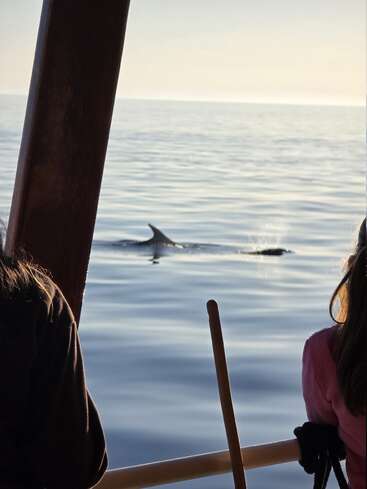 Duas pessoas em um barco observam um golfinho ou uma baleia nadando nas proximidades, em águas calmas e espelhadas sob um céu limpo, criando um momento na natureza que é ao mesmo tempo tranquilo e inspirador.