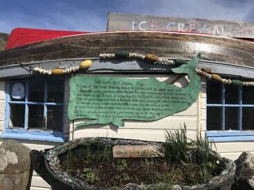 A rustic beachside shack features blue windows, nautical decorations, and a green dolphin-shaped sign welcoming visitors to Calgary Bay. Plants grow below, sunlight brightens everything.