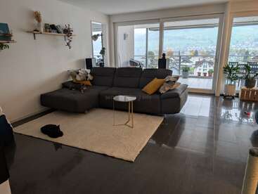 Un salon moderne avec un canapé sectionnel gris, des plantes, des étagères murales, un tapis douillet, deux chats et de grandes fenêtres donnant sur un balcon pittoresque et une vue sur les montagnes.