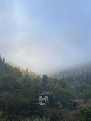 Ein Hang, bedeckt mit dichtem, grünem Baumbewuchs, teilweise in Nebel gehüllt. Zwei kleine Häuser schmiegen sich unter einem sanften, wolkigen blauen Himmel in das Laubwerk. Friedlich.