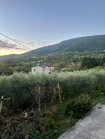 A peaceful countryside scene features a house surrounded by olive trees, rolling green hills, distant mountains, a clear sky, and soft evening light enhancing tranquility.