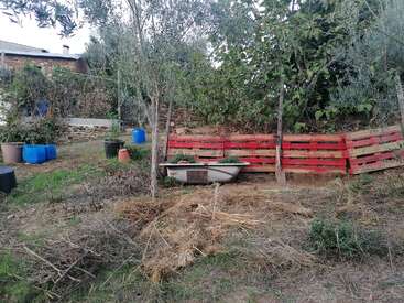 Uma cena rústica de jardim mostra um vaso feito com uma banheira reaproveitada, uma cerca de paletes de madeira vermelha, vários vasos de plantas, barris azuis, árvores e palha espalhada sobre o terreno natural.