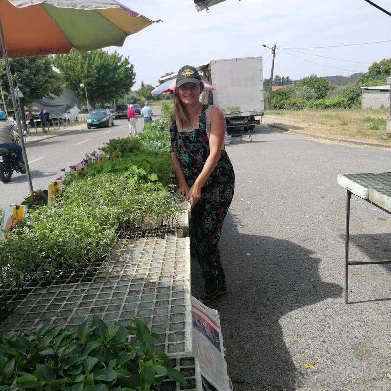 Uma mulher com boné e macacão estampado está ao lado de uma mesa com mudas em um mercado ao ar livre, sorrindo sob guarda-chuvas coloridos num dia ensolarado.