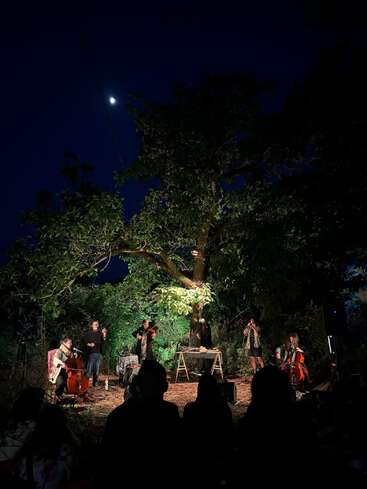 A nighttime outdoor concert under a large tree, musicians perform with cellos and violin. Soft lighting highlights artists while an audience watches, moon visible above.