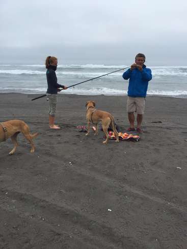 A imagem mostra um homem e uma mulher pescando em uma praia, acompanhados por dois cães, com o oceano e o céu nublado servindo como pano de fundo sereno.