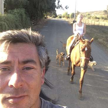 A imagem mostra um homem tirando uma selfie com uma mulher montada em um cavalo em uma estrada, acompanhado por dois cães que caminham atrás deles.