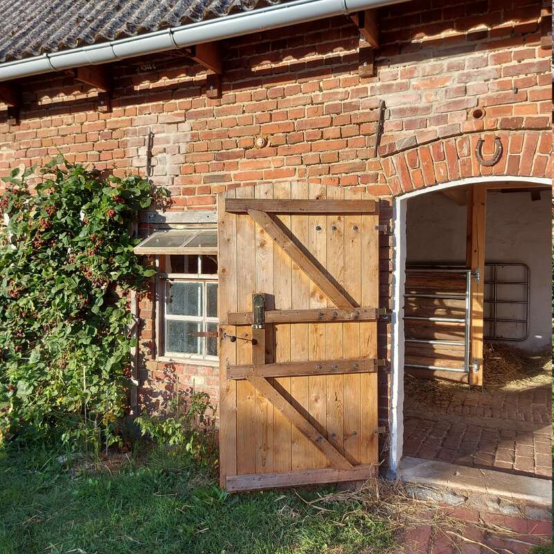 A rustic brick barn features a wooden door standing open, revealing a stable inside. Climbing plants grow by the window, and sunlight brightens the cozy scene.