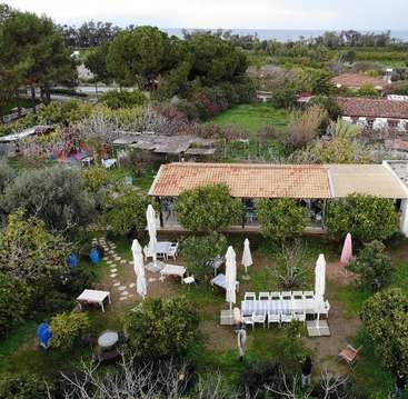 Das Bild zeigt einen ruhigen Garten mit einem Haus, in dem sich eine Terrasse mit Tischen, Stühlen und Sonnenschirmen befindet, umgeben von üppigen Bäumen und Grünpflanzen.