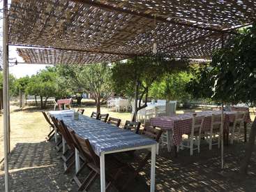 Das Bild zeigt einen ruhigen Essbereich im Freien mit einer Pergola mit geflochtenem Dach, mehreren Tischen mit karierten Tischdecken und Stühlen, die im Schatten stehen.