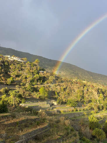 Ein leuchtender Regenbogen spannt sich unter einem wolkenverhangenen Himmel über einen terrassenförmig angelegten, üppig bewachsenen Hügel mit Palmen und Häusern und schafft eine Szene von heiterer natürlicher Schönheit.