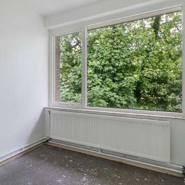 Una habitación vacía y sin muebles, con paredes blancas y una gran ventana con vistas a densos árboles verdes. Debajo de la ventana hay un radiador blanco y manchas de pintura en el suelo.
