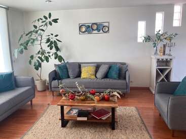 A cozy living room with grey sofas, teal and yellow pillows, a large plant, coffee table with decor, books, and modern art on the wall.