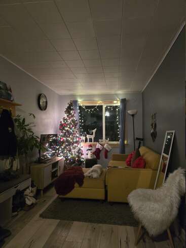 A cozy living room decorated for Christmas, featuring a lit tree, string lights, stockings, a yellow sofa, a small dog, and festive holiday decor.
