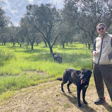 Ein Mann mit Sonnenbrille steht mit zwei schwarzen Hunden in einem sonnenbeschienenen Olivenhain. Das Gras ist grün, überall stehen Bäume, und die Atmosphäre wirkt entspannt und friedlich.