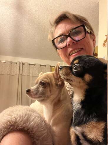A smiling woman wearing glasses poses indoors with two small dogs, one tan and one black. The cozy setting includes curtains and a fluffy blanket in the background.